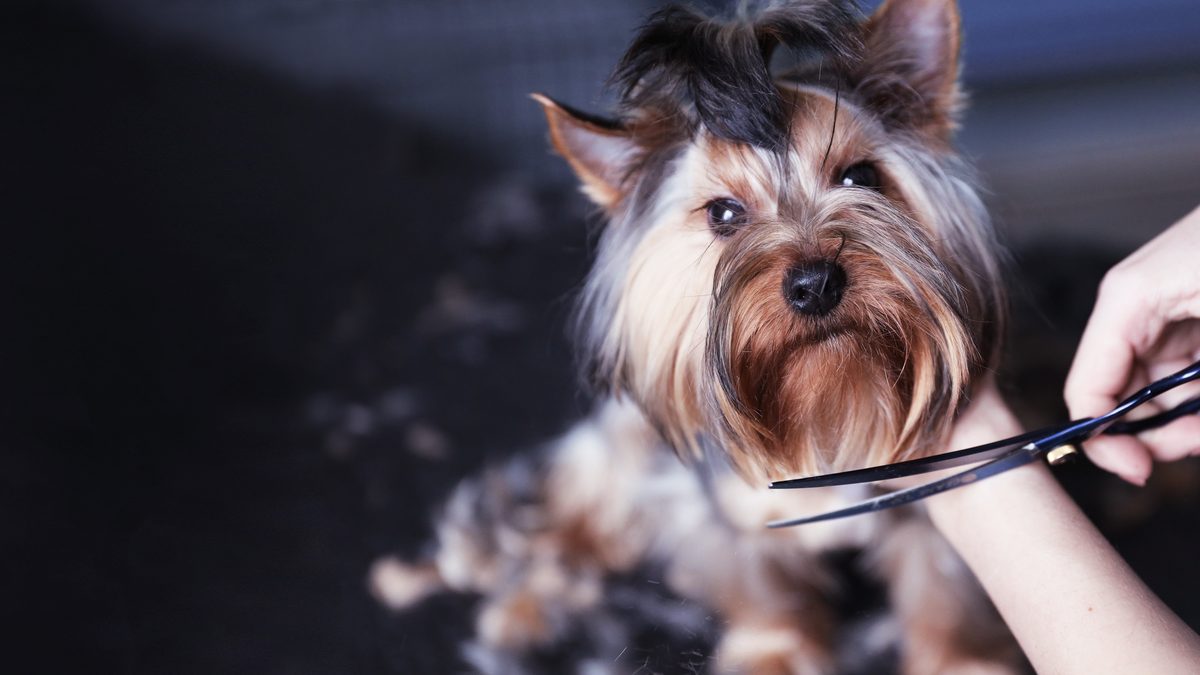 The Bits We Forget: Caring for Ears, Eyes & Teeth